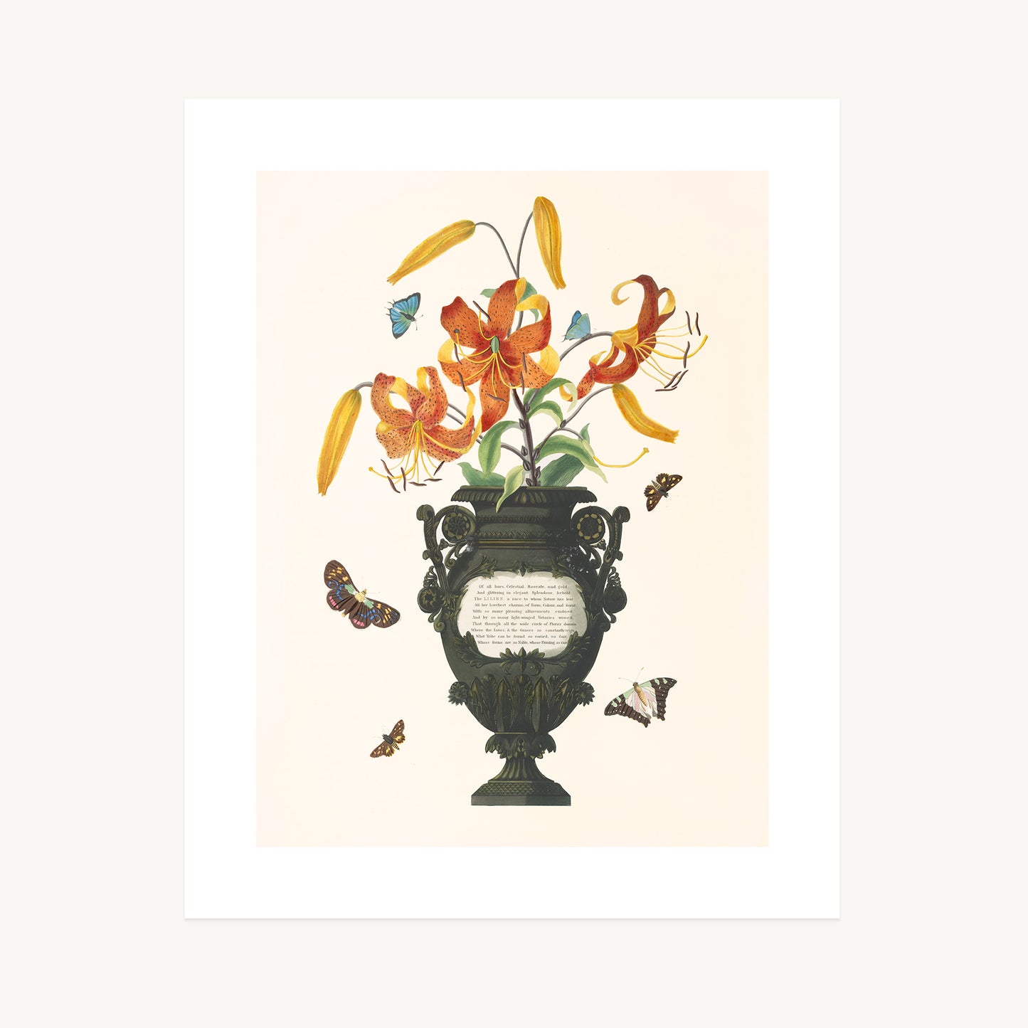 TIGER LILIES (Lilium Tigrinum) | Priscilla Susan Bury