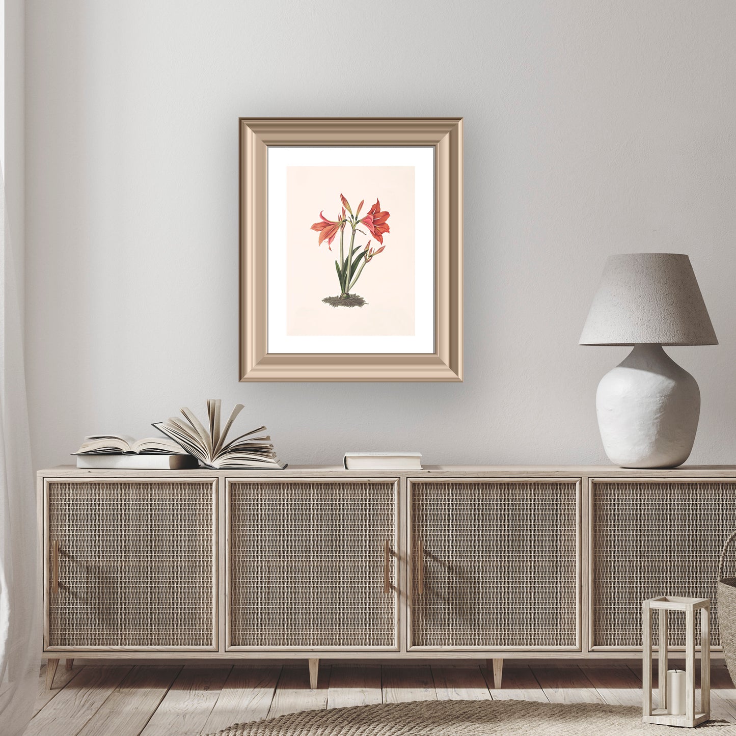 MEXICAN LILY (Amaryllis reginaæ) | Priscilla Susan Bury