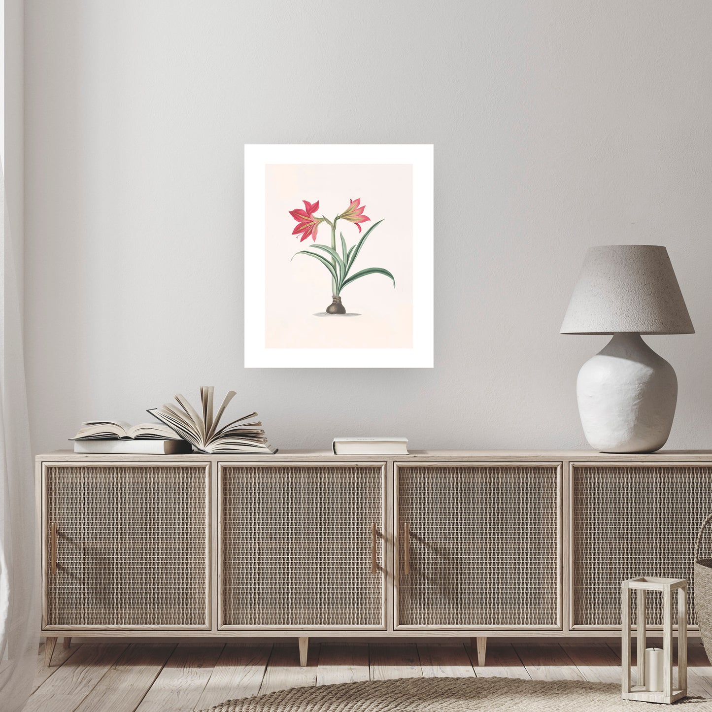 AMRYLLIS PLATYPETALA  | Priscilla Susan Bury