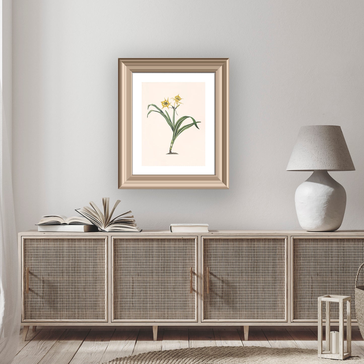 PERUVIAN DAFFODIL (Pancratium amancaes) | Priscilla Susan Bury