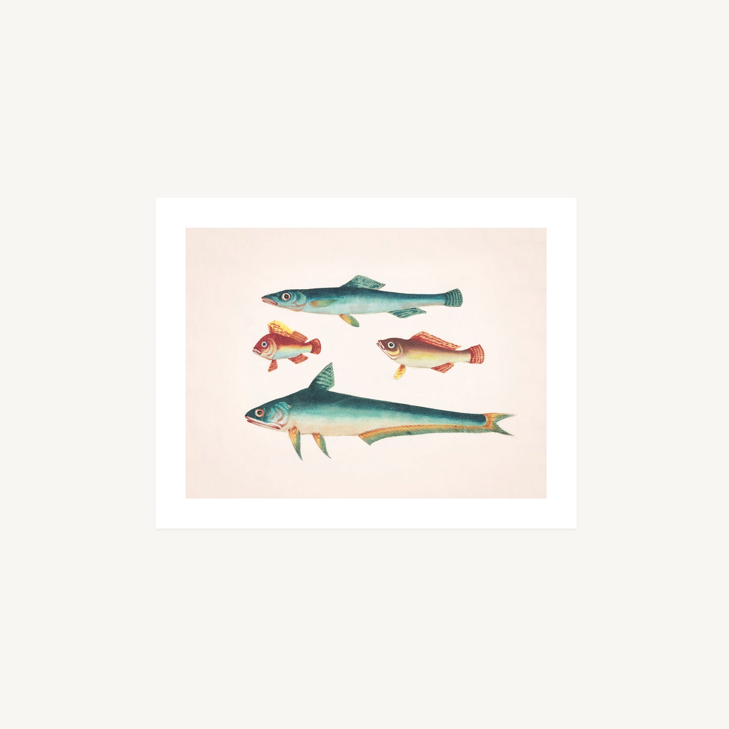 TWO GREEN FISH, TWO BROWN FISH | Artist Unknown