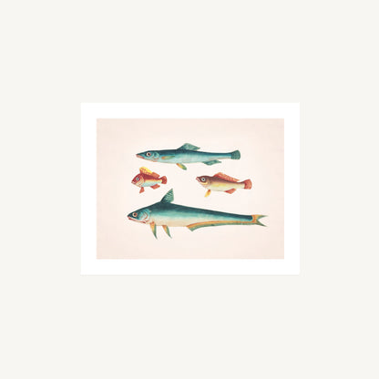 TWO GREEN FISH, TWO BROWN FISH | Artist Unknown