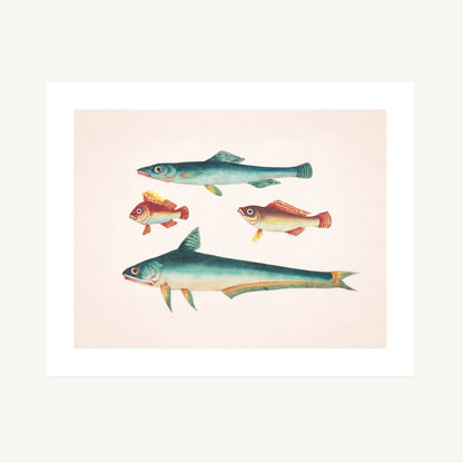 TWO GREEN FISH, TWO BROWN FISH | Artist Unknown