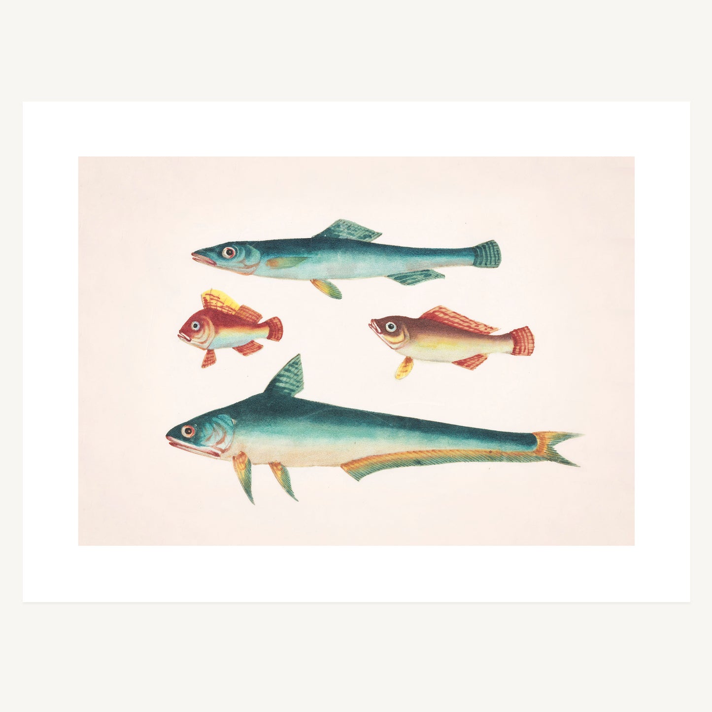 TWO GREEN FISH, TWO BROWN FISH | Artist Unknown