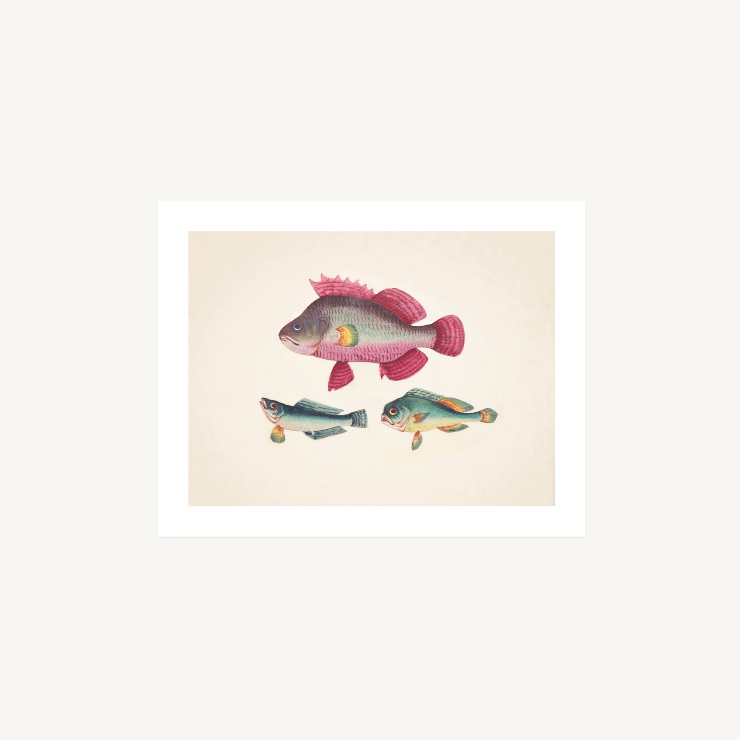 ONE PINK FISH, TWO GREEN FISH | Artist Unknown