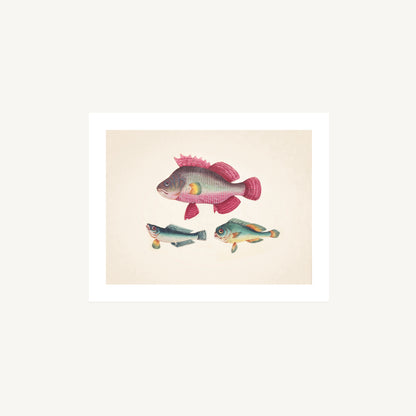 ONE PINK FISH, TWO GREEN FISH | Artist Unknown
