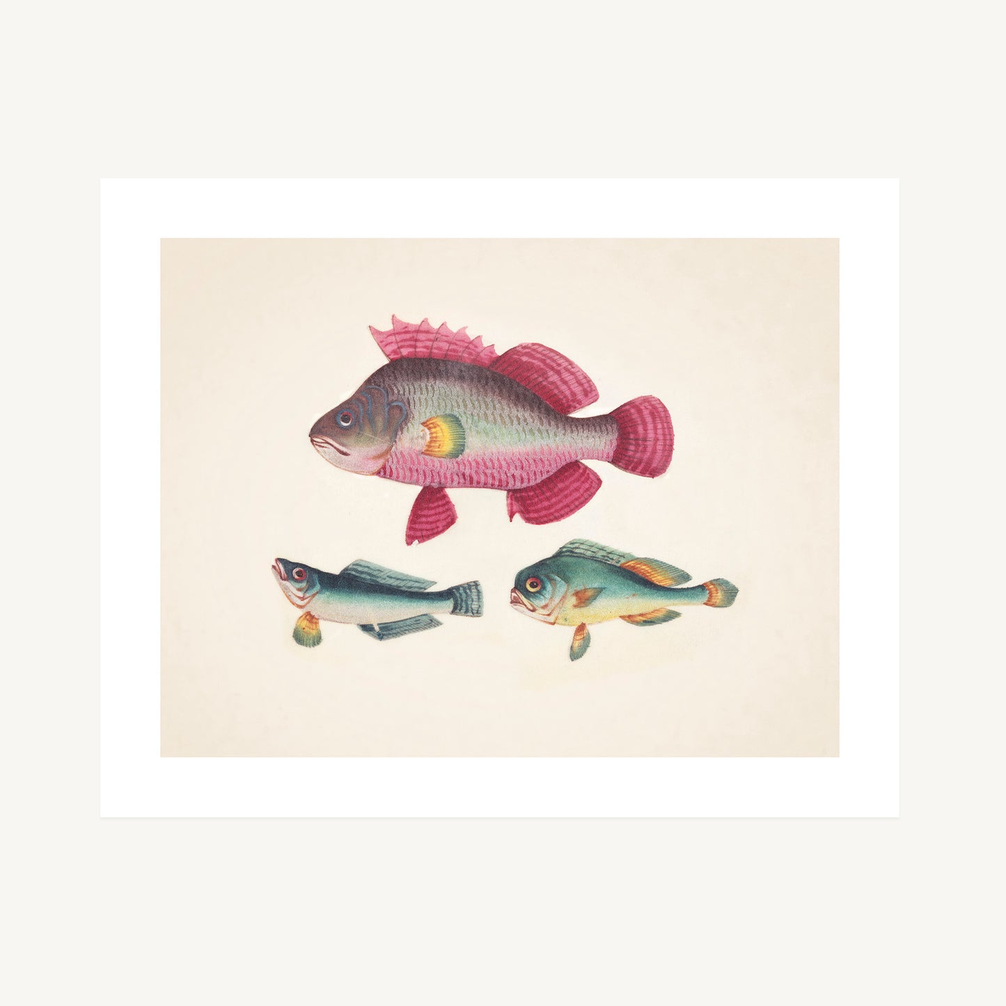 ONE PINK FISH, TWO GREEN FISH | Artist Unknown