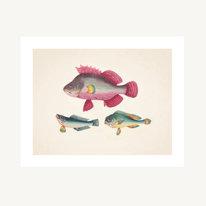ONE PINK FISH, TWO GREEN FISH | Artist Unknown