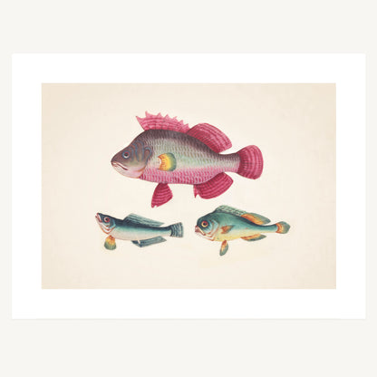 ONE PINK FISH, TWO GREEN FISH | Artist Unknown