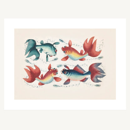 GOLD & SILVER FISH OF CHINA | Artist Unknown