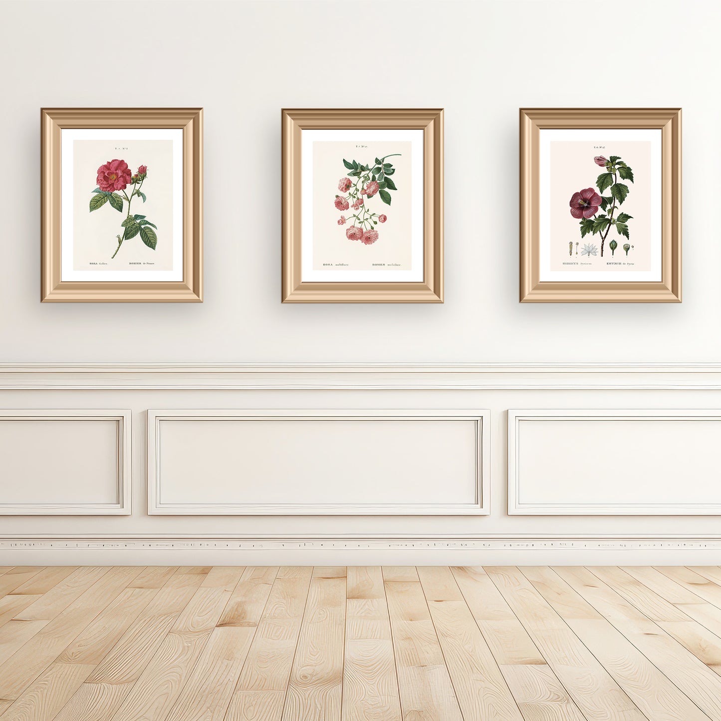 MULTIFLORA ROSE (Rosa Multiflora) | Pierre Joseph Redouté
