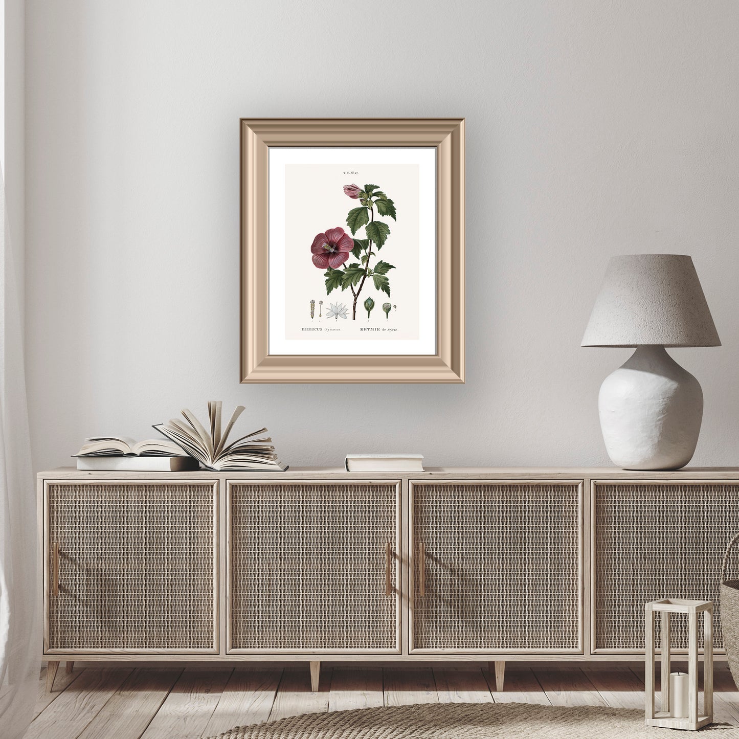 SYRIAN HIBISCUS (Hibiscus Syriacus) | Pierre Joseph Redouté