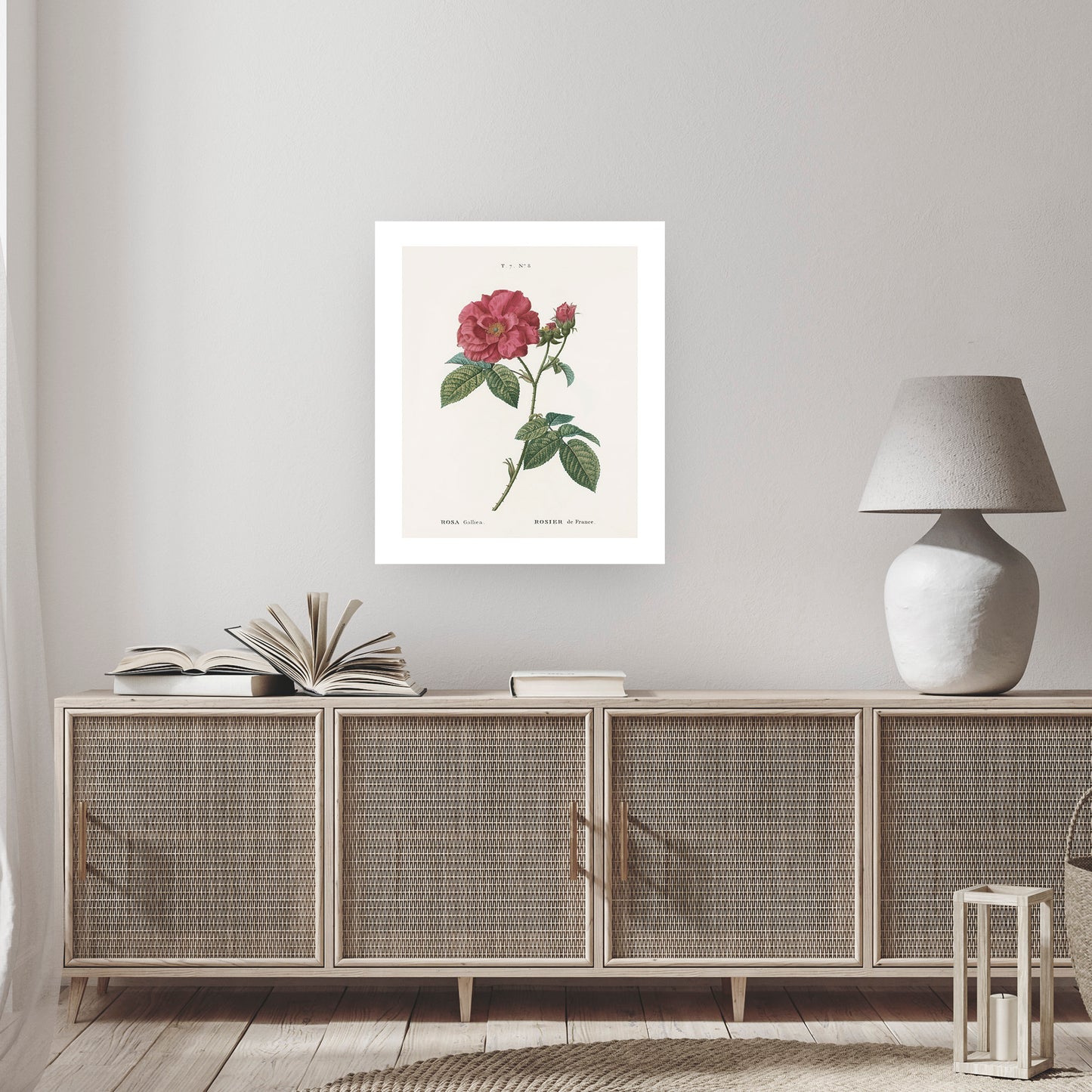 RED ROSE (Rosa Gallica) | Pierre Joseph Redouté