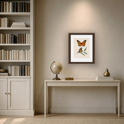 MONARCH BUTTERFLY | Thomas Say, American Entomology