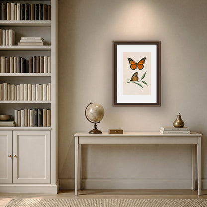 MONARCH BUTTERFLY | Thomas Say, American Entomology